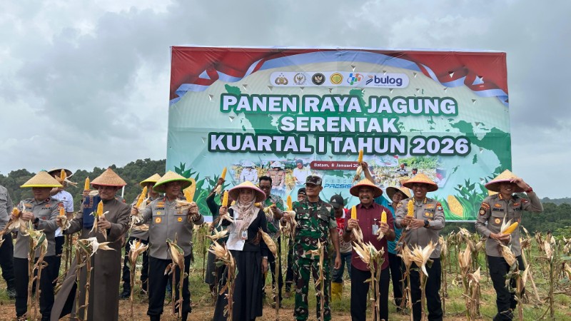Polresta Barelang Dukung Swasembada Pangan Nasional Melalui Panen Raya Jagung Serentak Kuartal I Polda Kepri