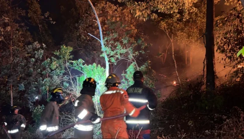 Tim Manggala Agni Berjibaku Padamkan Api, Kebakaran Lahan di Batam