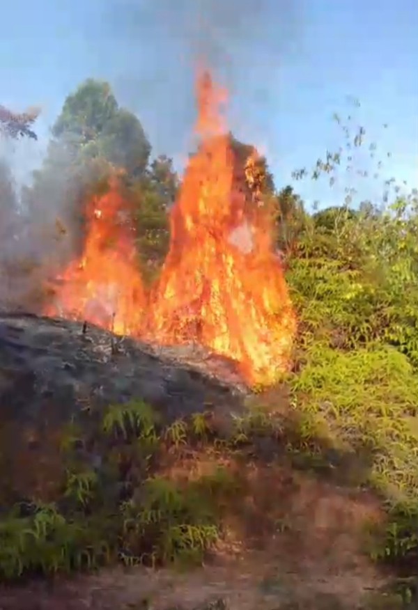 Jika Terjadi Kebakaran di Batam Lapor ke 112 atau 110