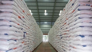 Empat Daerah di Kepri yang Disiapkan Bulog untuk Gudang Logistik Pangan
