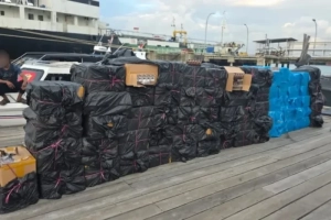 Bea Cukai Batam Amankan Speedboat di Hutan Bakau Muat Rokok Ilegal