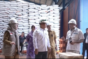 Capai 394 Ton Pada 2025, Produksi Beras di Kepri Naik Signifikan