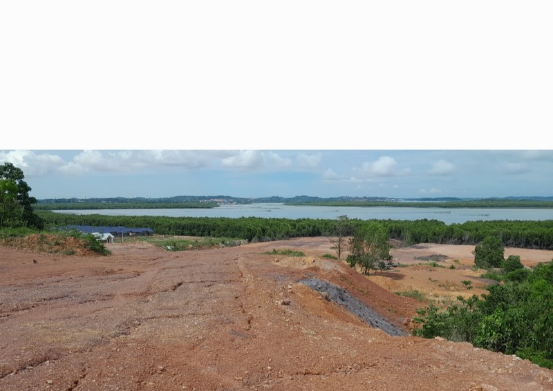 Puluhan Hektare Hutan Bakau Piayu Laut Rusak Parah, Dibabat dan Ditimbun Tanah