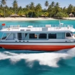 Dorong Transportasi Hijau di Negara Kepulauan, Indonesia Jadi Target Kapal Listrik China