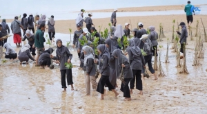 Wali Kota bersama Mahasiswa Batam Tanam 2.000 Mangrove, Aksi Menyelamatkan Bumi