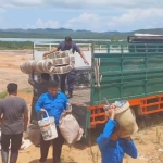 242 Kepala Keluarga Tempati Hunian Baru Layak Huni, Progres Pergeseran Warga Rempang Eco-City