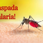 Kasus Malaria Meningkat di Tanjungpinang, PKK Kepri Turun Salurkan Bantuan untuk Warga