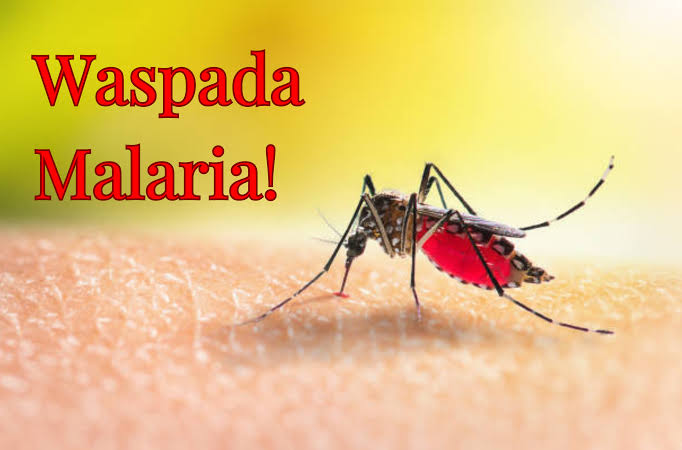 Kasus Malaria Meningkat di Tanjungpinang, PKK Kepri Turun Salurkan Bantuan untuk Warga