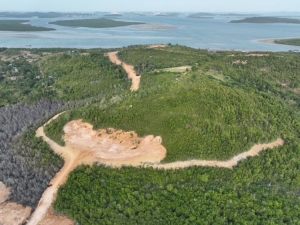 Buka Hutan Lindung Tanjung Piayu Tanpa Izin, PT GTP Resmi Jadi Tersangka Korporasi di Batam